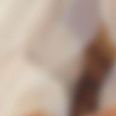 Une prière d’Asa en 2 Chroniques 14